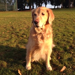 Clark Park - Sunshine!