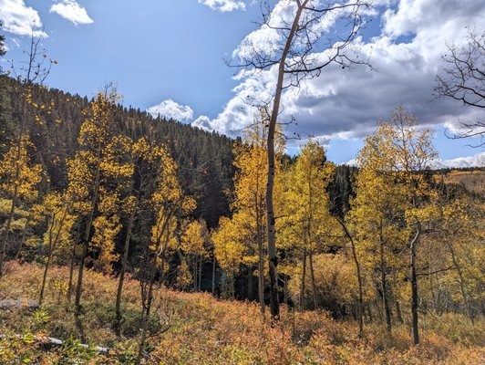 Golden Gate Canyon State Park by null