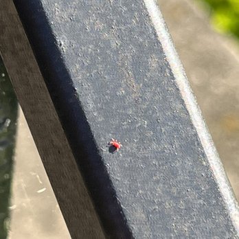 Etown Exterminating - Pest Control Near Me - Elizabethtown, Kentucky