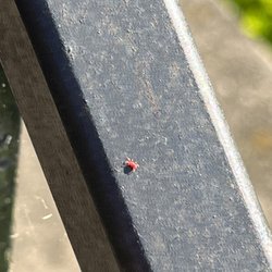 Etown Exterminating