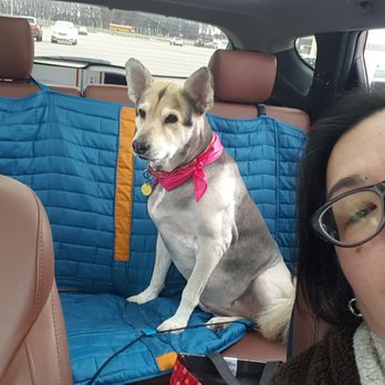 PetSmart - The grooming team do a great job all my doggie. - Pet Training Near Me - Muskegon, Michigan PetSmart - The grooming team do a great job all my doggie. - Pet Training Near Me - Muskegon, Michigan