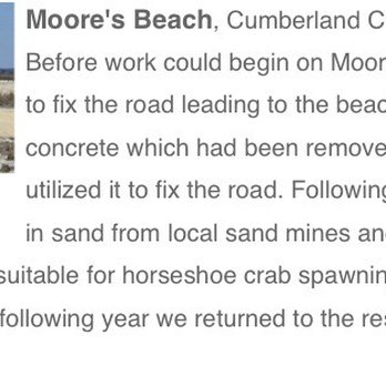 Moore's Beach - Moore's Beach - info from Delaware Bay Restoration org website - Beaches Near Me - Maurice River, New Jersey Moore's Beach - Moore's Beach - info from Delaware Bay Restoration org website - Beaches Near Me - Maurice River, New Jersey