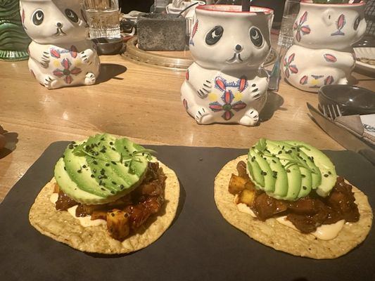 ANIMAL Tijuana by null