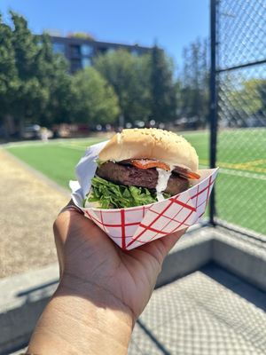 Cal Anderson Park by null