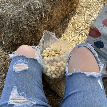 Uhland Fall Festival - Kettle corn - Festivals Near Me - Kyle, Texas Uhland Fall Festival - Kettle corn - Festivals Near Me - Kyle, Texas