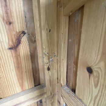 Reed Bingham State Park - Spider - Parks Near Me - Adel, Georgia