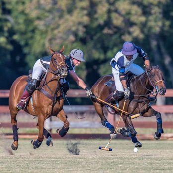 Lakeshore Polo Academy - Horseback Riding Near Me - Little Elm, Texas Lakeshore Polo Academy - Horseback Riding Near Me - Little Elm, Texas