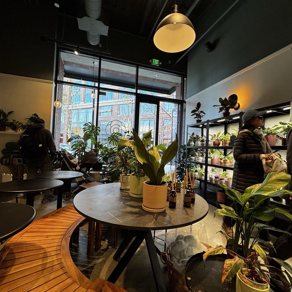 Bloomsgiving - Florists Near Me - Redwood City, California