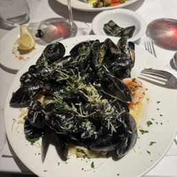 Steamed Mussels & Shrimp