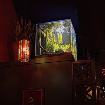 Mainlander - Vibe - Supper Clubs Near Me - St. Louis, Missouri