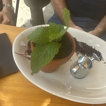 Bistrology - Tiramisu - Breakfast & Brunch Near Me - Miramar Beach, Florida
