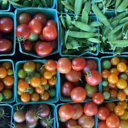 SnoValley Gardens - cherry tomato and peas