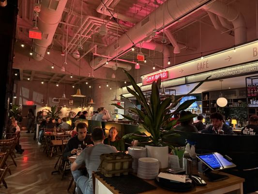 Shy Bird - Fenway by null