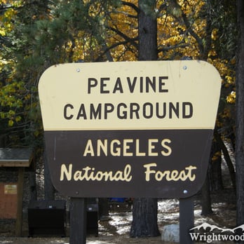 Peavine Campground - Sign at Peavine Campground. - Campgrounds Near Me - Wrightwood, California Peavine Campground - Sign at Peavine Campground. - Campgrounds Near Me - Wrightwood, California