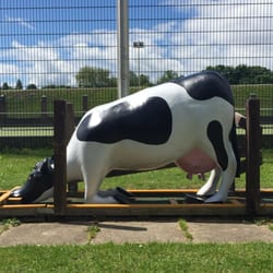 Sandwell Valley Country Park - Stopped and spotted this
