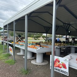 Ocean Air Produce - Fresh peaches