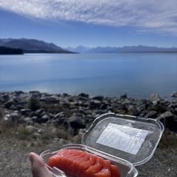 Mt. Cook Alpine Salmon