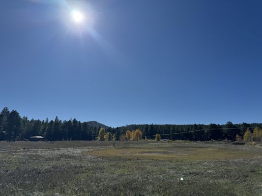 The Arboretum at Flagstaff by null