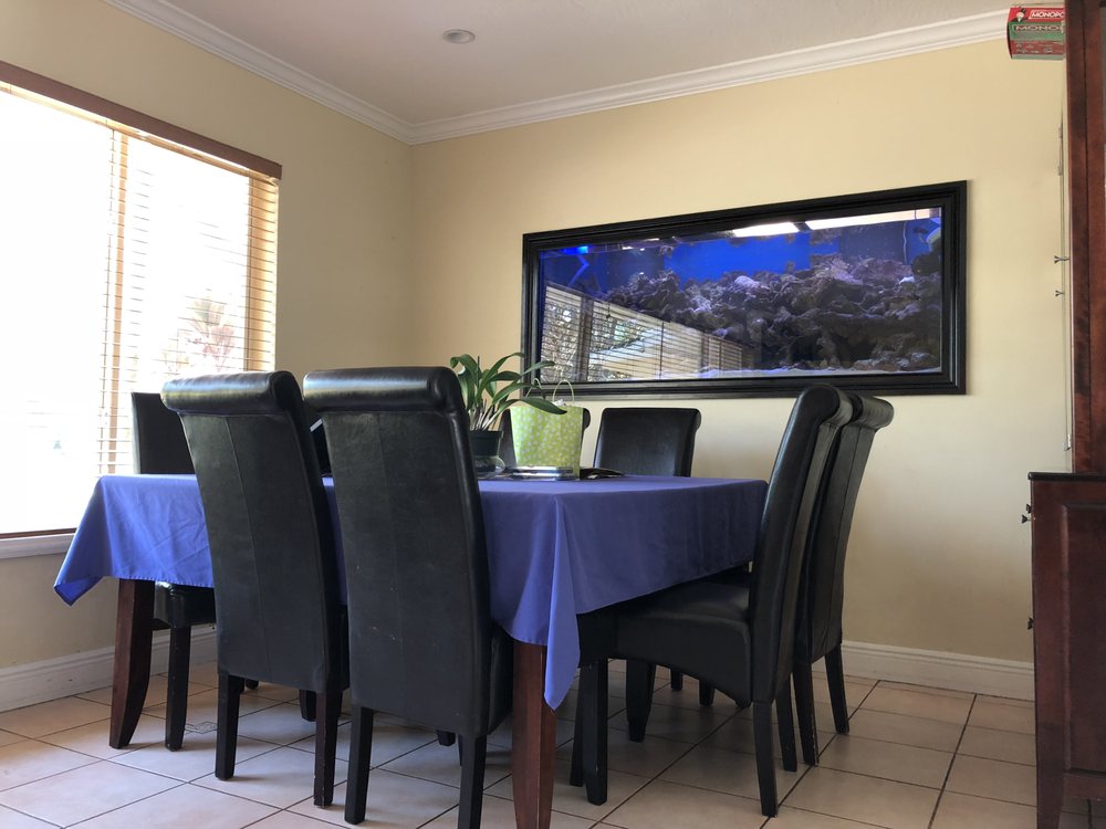 POSEIDON AQUARIUMS 39 Photos Miami, Florida Aquarium Services