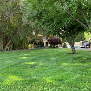 GC Yard Care - a green lawn with trees and a house in the background - Landscaping Near Me
