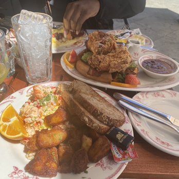 Plain Jane - Lobster scramble - Breakfast & Brunch Near Me - San Francisco, California Plain Jane - Lobster scramble - Breakfast & Brunch Near Me - San Francisco, California
