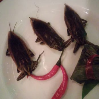 Nue - Water beetles. Not on their normal menu, but they have it on request. - Tapas/Small Plates Near Me - Seattle, Washington Nue - Water beetles. Not on their normal menu, but they have it on request. - Tapas/Small Plates Near Me - Seattle, Washington