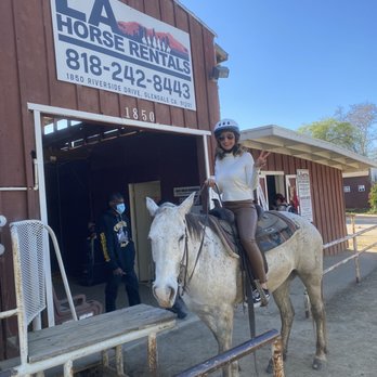 LA Horse Rentals - Front office with Junior - Horseback Riding Near Me - Glendale, California LA Horse Rentals - Front office with Junior - Horseback Riding Near Me - Glendale, California