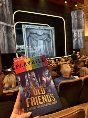 Samuel J Friedman Theatre by null