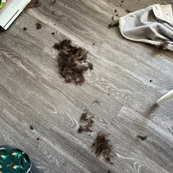 10 Street Hair - Had to cut it all off because it was awful