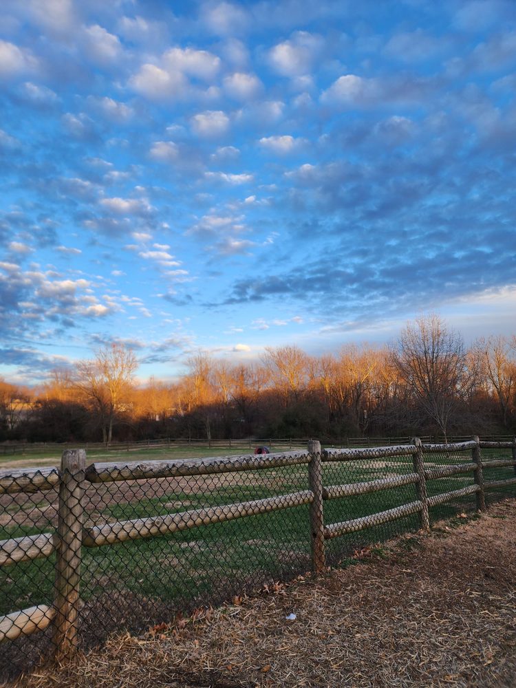 FAYETTEVILLE IAMS DOG PARK Updated October 2024 27 Photos & 14