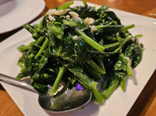 Szechuan Garden Chinese Restaurant by null Szechuan Garden Chinese Restaurant by null