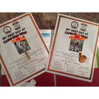 Camp Bow Wow - Ace & Veni passed with flying colors! - Pet Boarding Near Me - Henderson, Nevada Camp Bow Wow - Ace & Veni passed with flying colors! - Pet Boarding Near Me - Henderson, Nevada