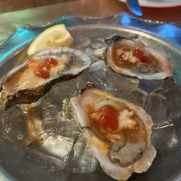 Oysters