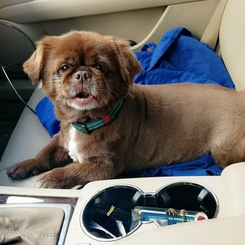 Petco - Thanks Adam! - Pet Stores Near Me - Van Nuys, California