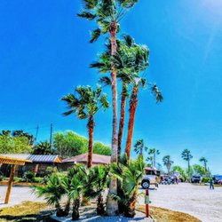 Sea Breeze RV Resort