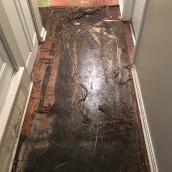 The Monroe - Floor once they took up the old linoleum, wet and moldy. - Apartments Near Me - New Albany, Indiana