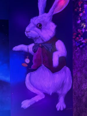 Alice DC by null