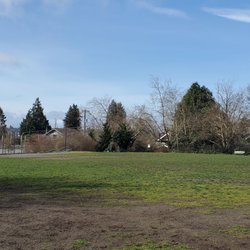 Wallingford Playfield - Clear day at the park - late morning