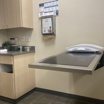 Vetco Total Care - Exam table - Veterinarians Near Me - Glendale, California Vetco Total Care - Exam table - Veterinarians Near Me - Glendale, California
