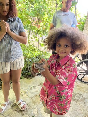 Croco Cun Zoo by null