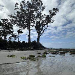 Pennicott Wilderness Journeys - Two Trees Bruny Island