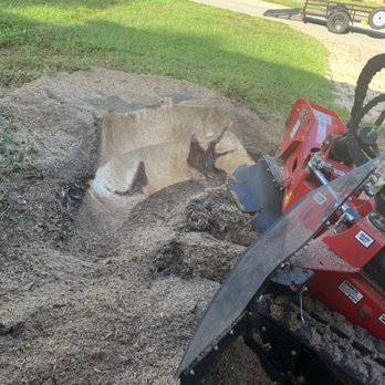 T.B.B Tree Service - Tree Services Near Me - Sarasota, Florida T.B.B Tree Service - Tree Services Near Me - Sarasota, Florida