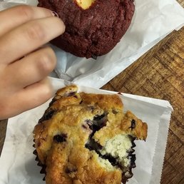 Blueberry Muffin