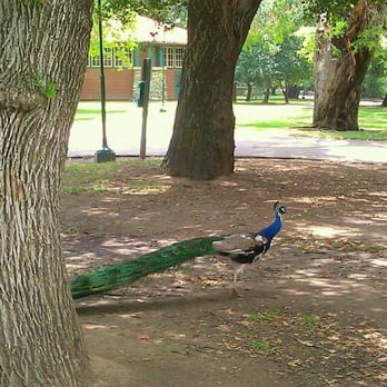 Irvine Regional Park - Parks Near Me - Orange, California