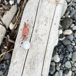 Fort Ebey State Park