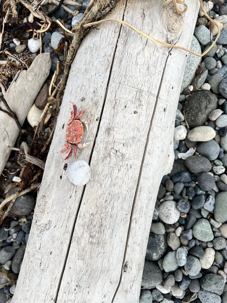Fort Ebey State Park Image