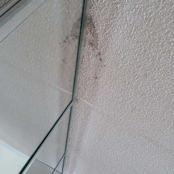 Mold Detective LLC - Overhead water intrusion - Home Inspectors Near Me - Pompano Beach, Florida Mold Detective LLC - Overhead water intrusion - Home Inspectors Near Me - Pompano Beach, Florida