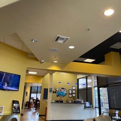 Dr. JAW Orthodontists - Waiting room