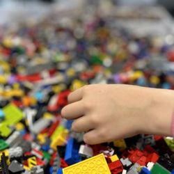 Bricks & Minifigs
