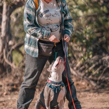 Up to Snuff - Pet Training Near Me Up to Snuff - Pet Training Near Me